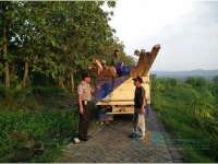 Dikejar Polisi, Maling Kayu Tinggalkan 10 Batang Jati Hasil Curian