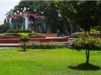 Penghijauan Untuk Perbaiki Kualitas Udara di Bojonegoro