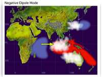 Diprediksi Terjadi Kemarau Basah di Wilayah Bojonegoro
