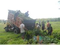 Kartar Ringintunggal Kecamatan Gayam Tanam Pohon dan Siapkan Bazar Takjil