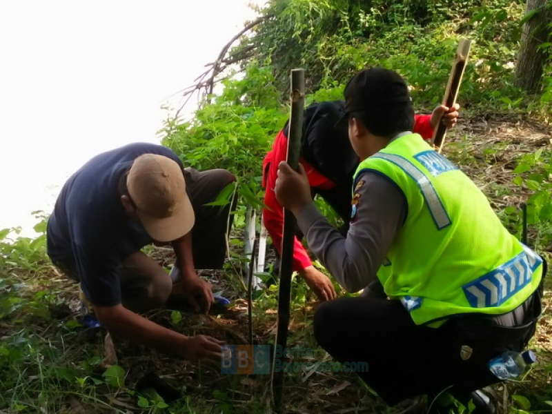 Antisipasi Longsor, Tanami Tepi Bengawan Solo dengan Bambu