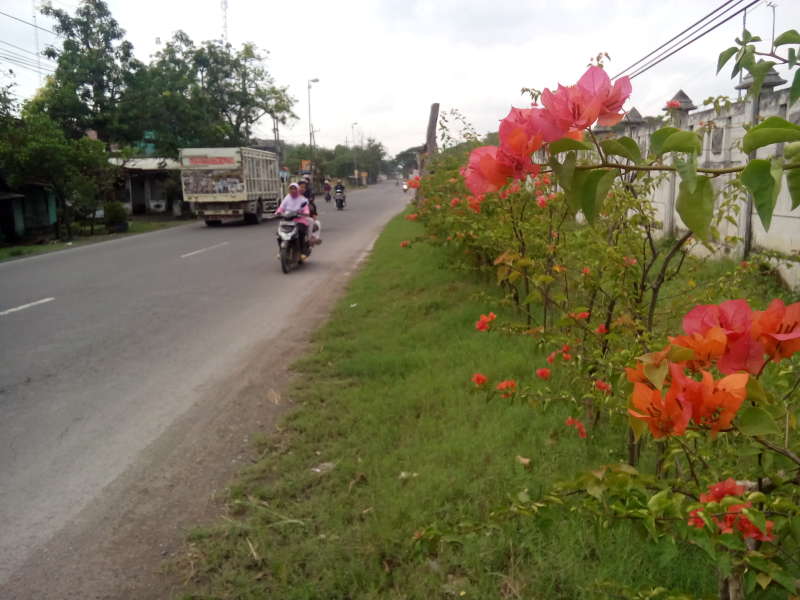 Bojonegoro Bisa Jadi Jalur Alternatif Mudik Lebaran