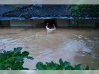 Banjir Bandang Terjang 3 Desa di Tuban, Ratusan Rumah Terendam