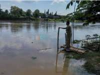TMA Bengawan Solo di Bojonegoro Menunjukkan Trend Penurunan