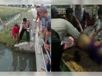 Sesosok Mayat Ditemukan Mengapung di Bawah Jembatan Irigasi