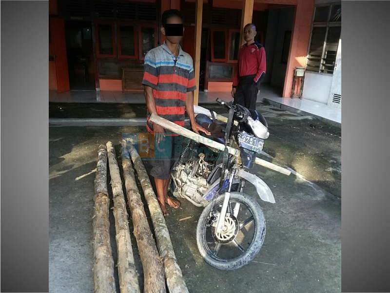 Curi Kayu di Hutan, Warga Napis Ditahan