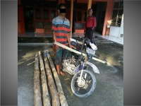 Curi Kayu di Hutan, Warga Napis Ditahan