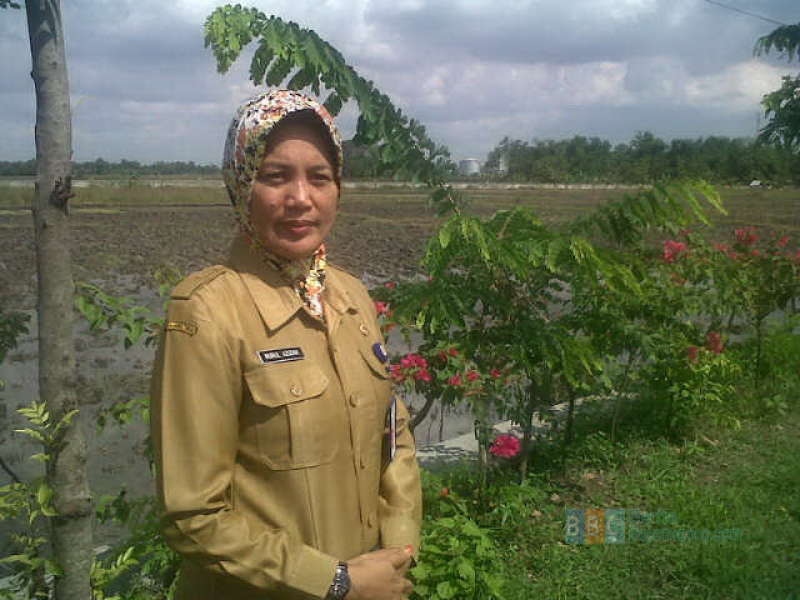 Sejuta Bibit Bougenvile Diupayakan Beli dari Warga Bojonegoro