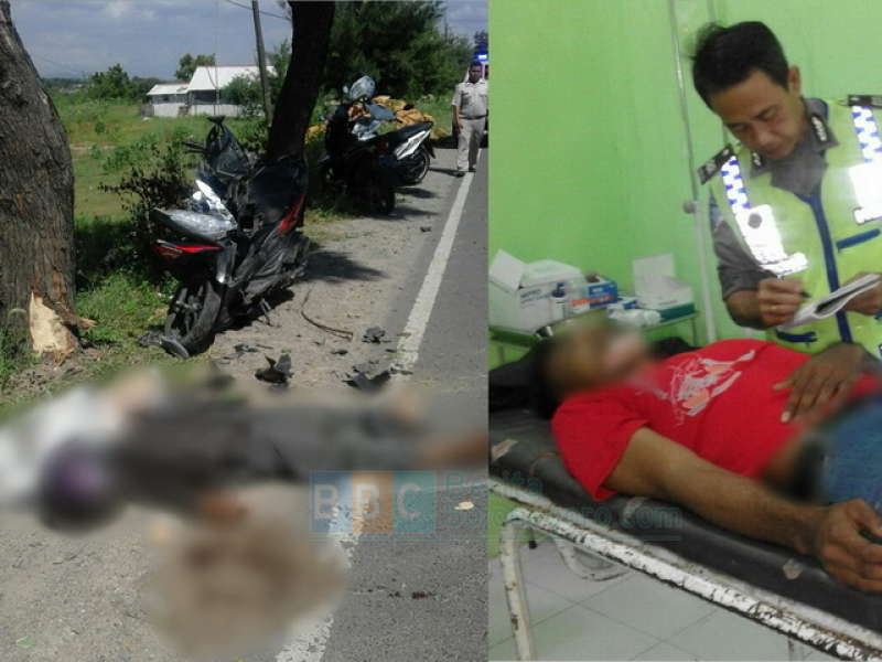 Tabrak Pohon, Pengendara Motor Meninggal di Tempat