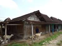 Hadapi Musim Kemarau, Warga Mojodelik Pasang Pompa Air