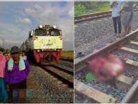 Seorang Petani Tewas Tertabrak Kereta Api di Kecamatan Kalitidu