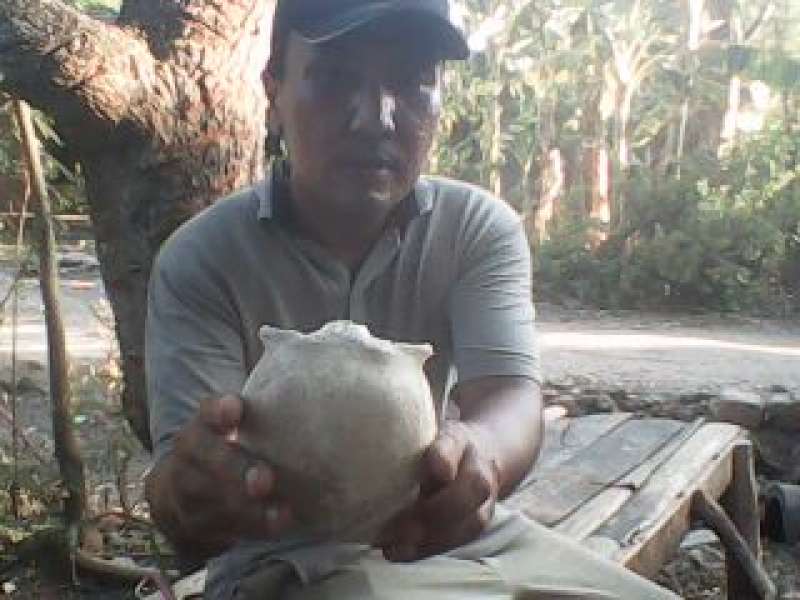 Mendirikan Museum Mini untuk Menyimpan Koleksi Fosil Purba