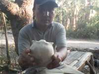 Mendirikan Museum Mini untuk Menyimpan Koleksi Fosil Purba