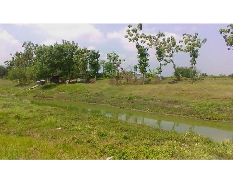 Petani di Semanding Terbantu Hujan Kemarau Basah