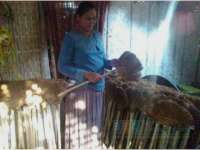 Melihat Perajin Sapu Sepet di Semanding Bojonegoro