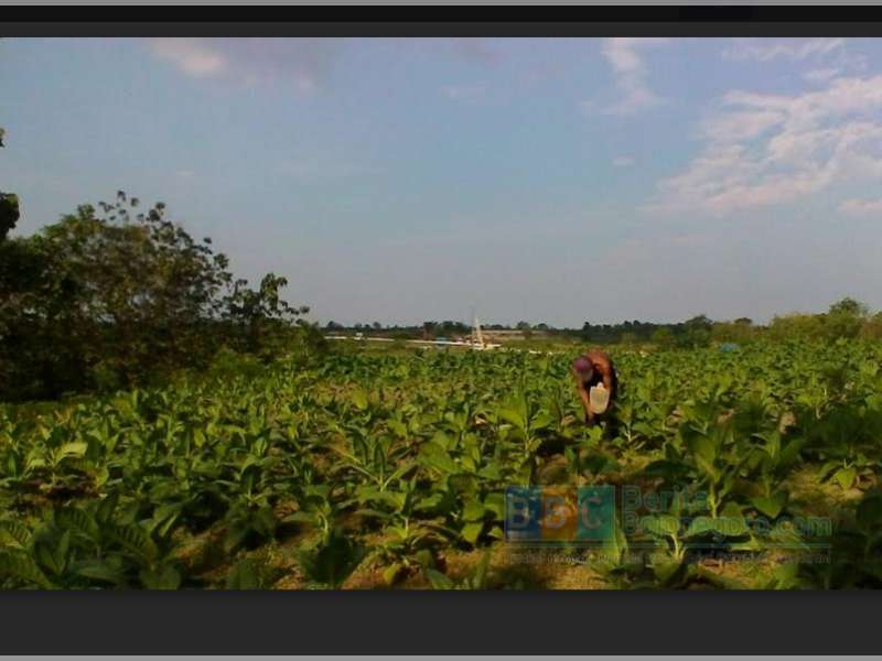 Kata Warga Bandungrejo Kecamatan Ngasem Tentang Proyek J-TB
