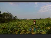 Kata Warga Bandungrejo Kecamatan Ngasem Tentang Proyek J-TB