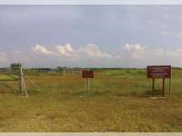 Melihat Lapangan Gas Cendana Kecamatan Padangan