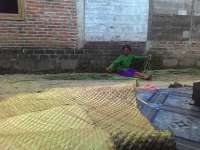 Mengolah Pandan Duri Jadi Tikar Bernilai Ekonomi