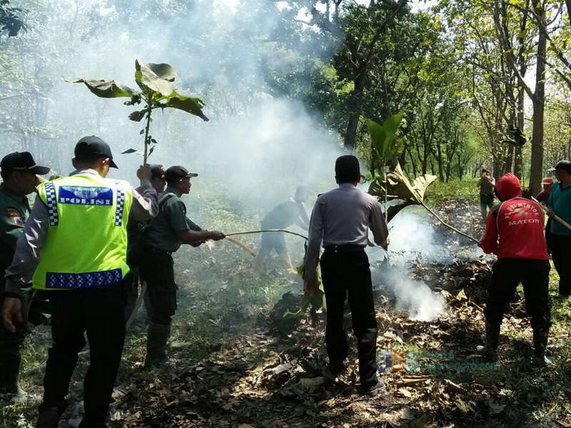 Hutan Kasiman Terbakar, Inilah Materi Simulasi Siaga Kebakaran Hutan
