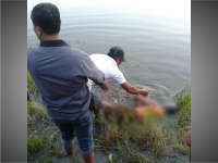 Seorang Nenek Tewas Tenggelam di Embung Tambakrejo