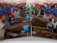 Industri Rokok Penopang Fundamental Ekonomi