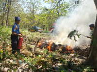 Antisipasi Kebakaran Hutan