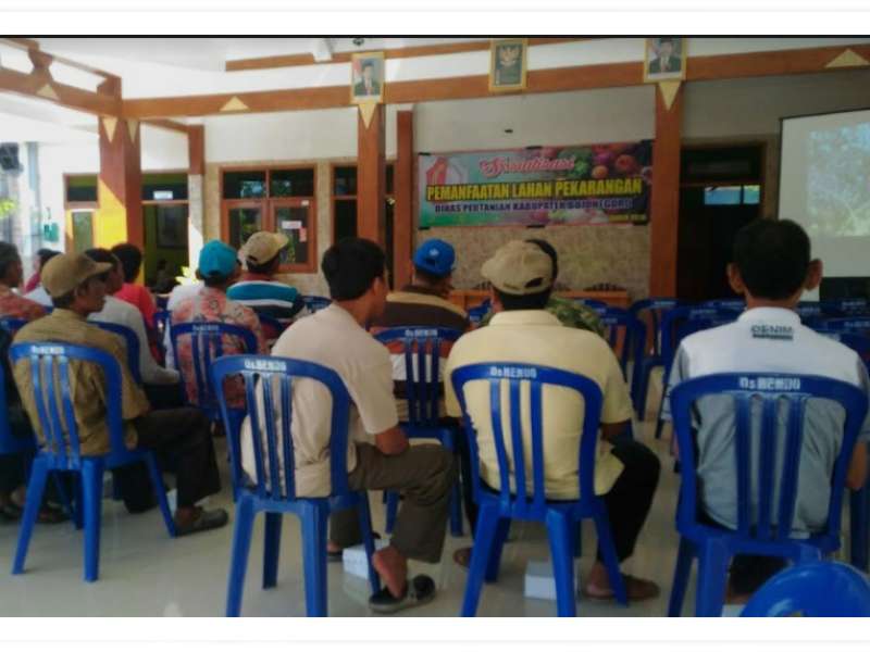 Gandeng Disperta, Mahasiswa Unigoro Adakan Workshop Pertanian di Bendo, Kapas