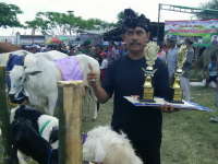 Polisi yang Sukses dengan Ternak Kambing