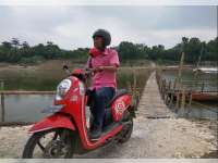 Jembatan Sementara dari Bambu di Bengawan Solo