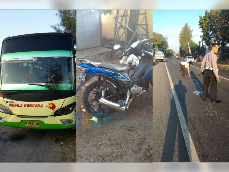 Motor Lawan Bus di Tuban, Satu Meninggal Dunia