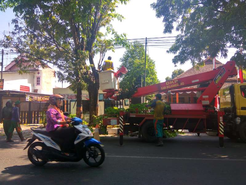 Pelankan Kendaraan Ada Pemangkasan Pohon