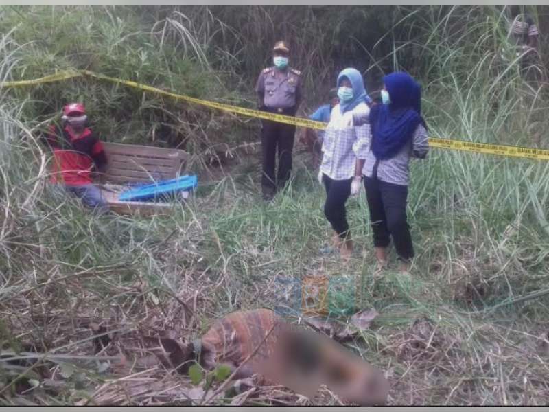 Mayat Perempuan Ditemukan di Pinggir Sungai Kecamatan Ngasem