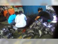 Idul Adha, Penjualan Arang Meningkat Dua Kali Lipat