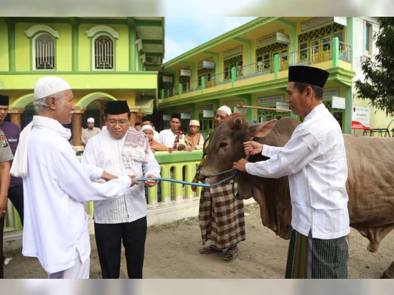 Kang Yoto Serahkan Hewan Kurban