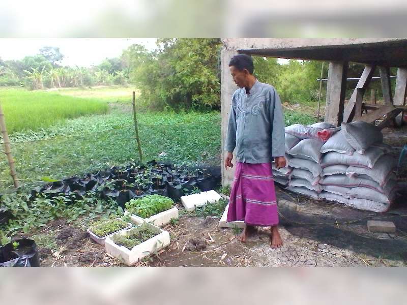 Selain Ternak, Juga Produksi Pupuk dan Bibit Tanaman