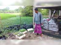 Selain Ternak, Juga Produksi Pupuk dan Bibit Tanaman