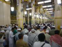 Utamanya Salat Arbain di Masjid Nabawi