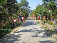 DKP Minta Desa Melakukan Penghijauan dan Pelestarian Lingkungan