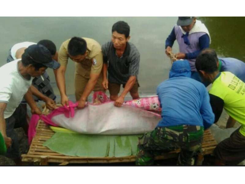 Warga Sumberejo Ditemukan Tewas Tenggelam di Waduk Ngapus
