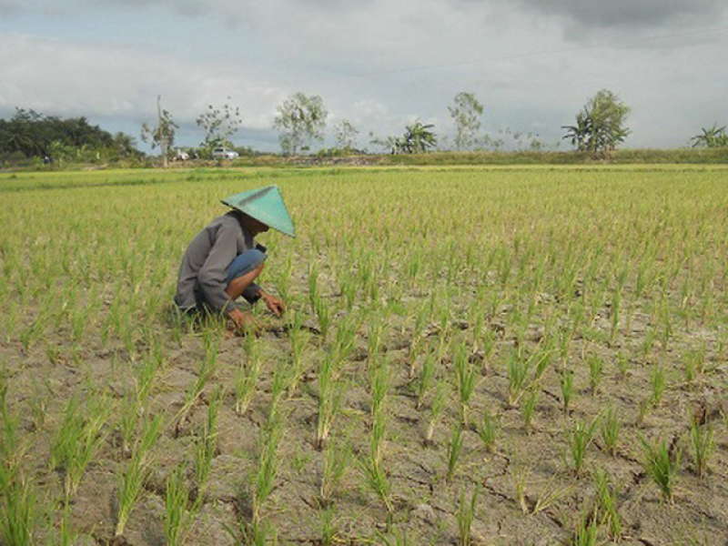 Mari Melampaui Batas Maksimal Kita