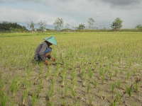 Mari Melampaui Batas Maksimal Kita