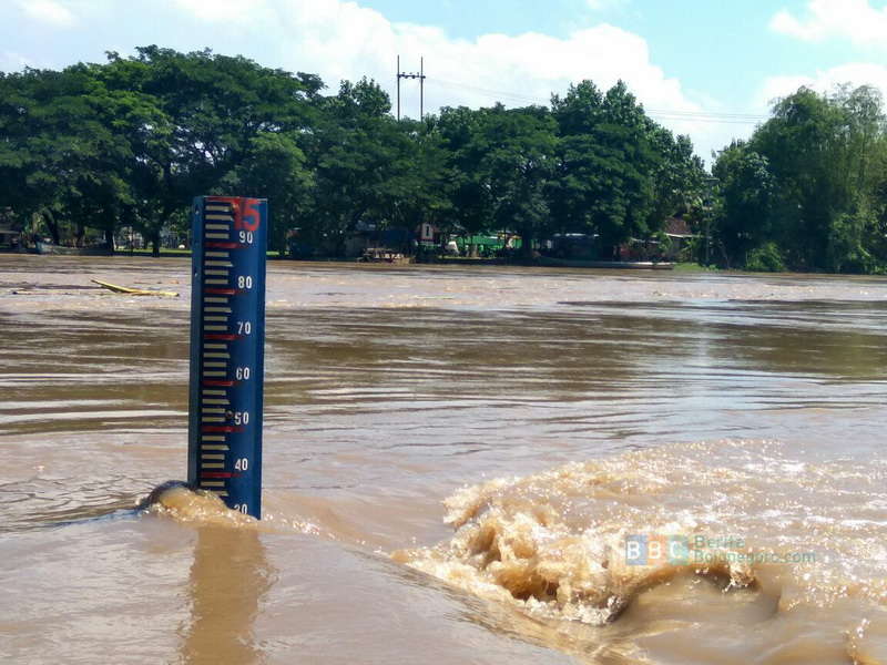 Banjir Rendam Ratusan Hektare Sawah di 3 Kecamatan