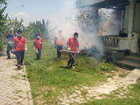 Empat Bocah di Banjarsari Terjangkit Demam Berdarah
