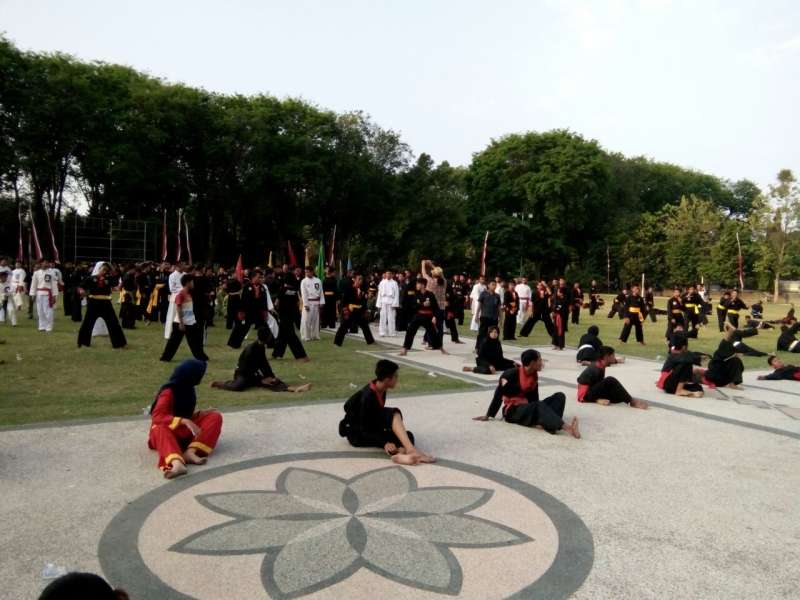 Dewan Pakar IPSI Sayangkan Cabor Pencak Silat Batal Ikut Porkab