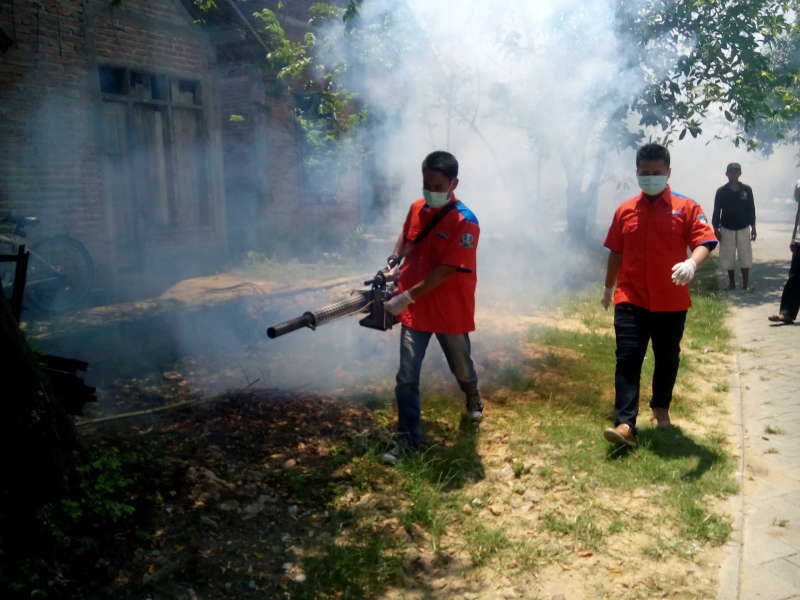 Endemi Demam Berdarah, Kampung Banjarsari Difogging