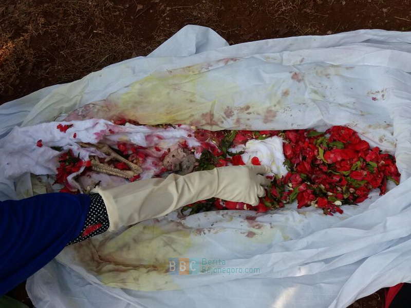 4 Pocong Mori Berisi Bangkai Ayam dan Bunga Gegerkan Warga di Tuban