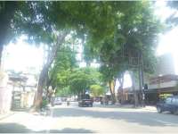 Sudah Ditegur Pemkab, Dua Papan Bando Belum Dibongkar