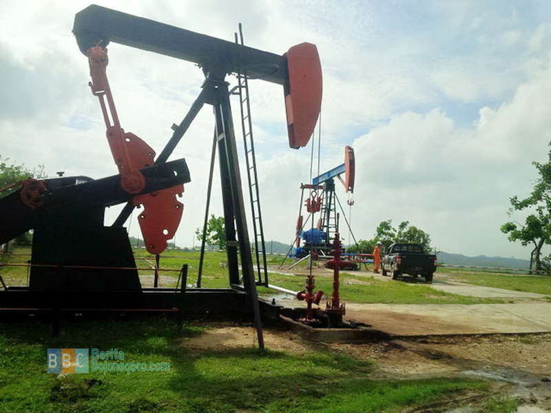 Kerusakan Lingkungan di Wonocolo Sudah Lebih 50 Persen