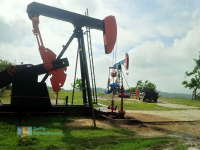 Kerusakan Lingkungan di Wonocolo Sudah Lebih 50 Persen